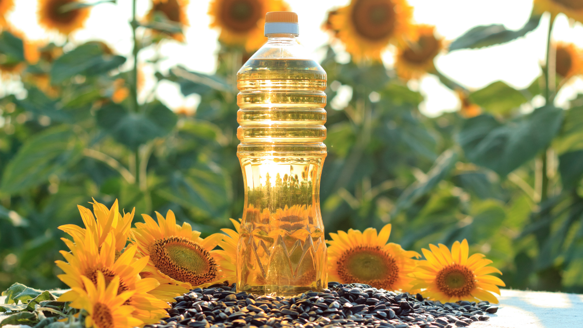 Sunflower Oil: Properties and Manufacture - Kumar Metal Industries