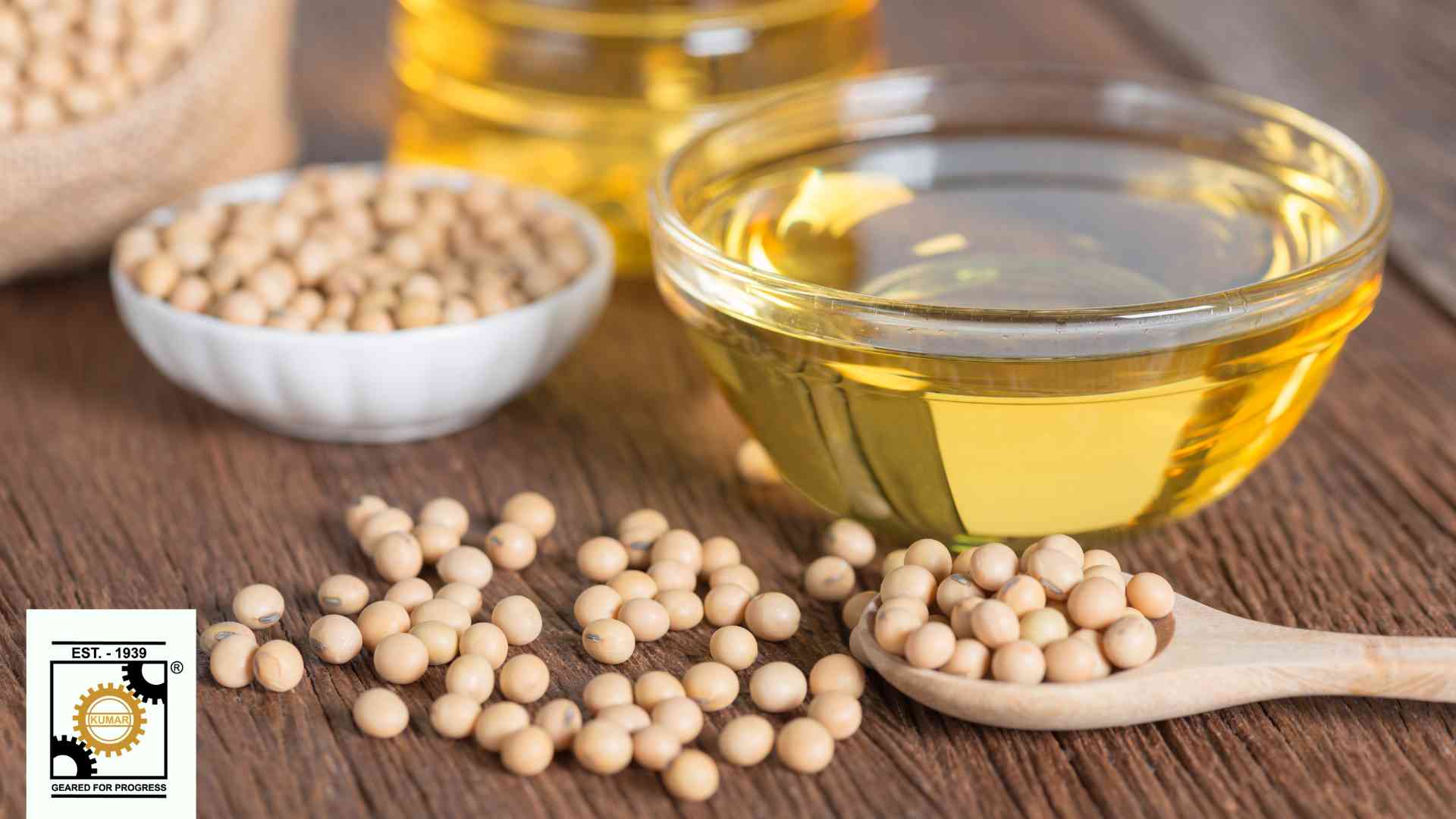 soybean oil manufacturing plant cost